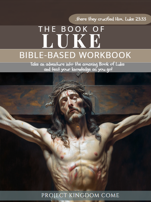 New Testament Bundle