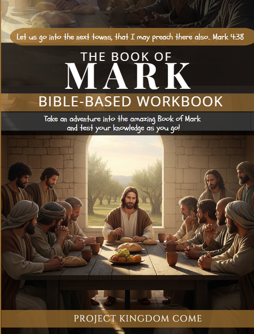 New Testament Bundle